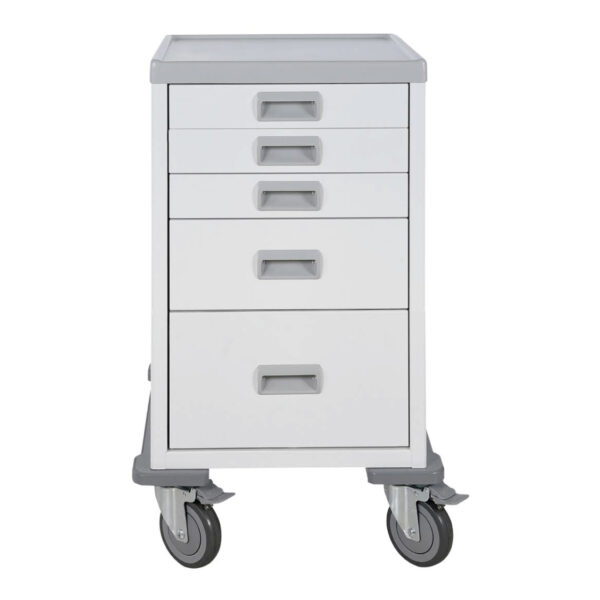 Multipurpose StorPlus Trolley